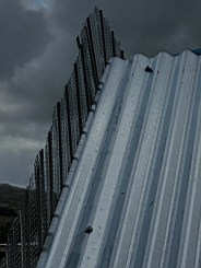 carrowcrory studio-4038.JPG